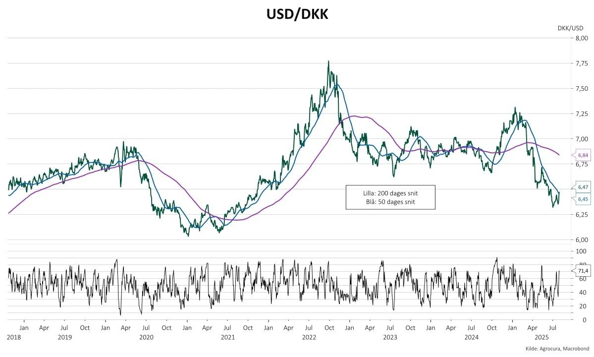 Udviklingen i kroner og dollar i perioden 2018 til sommeren 2025.