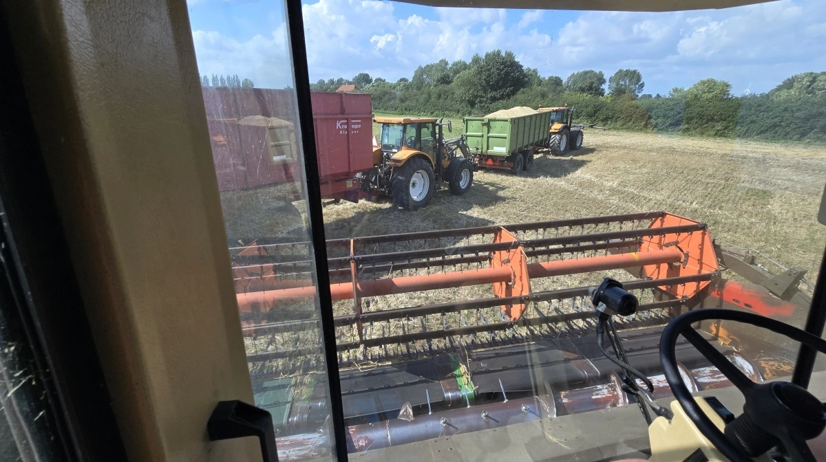Henrik Friis er både pilot på mejetærskeren og kører de fulde kornvogne til Danish Agro.