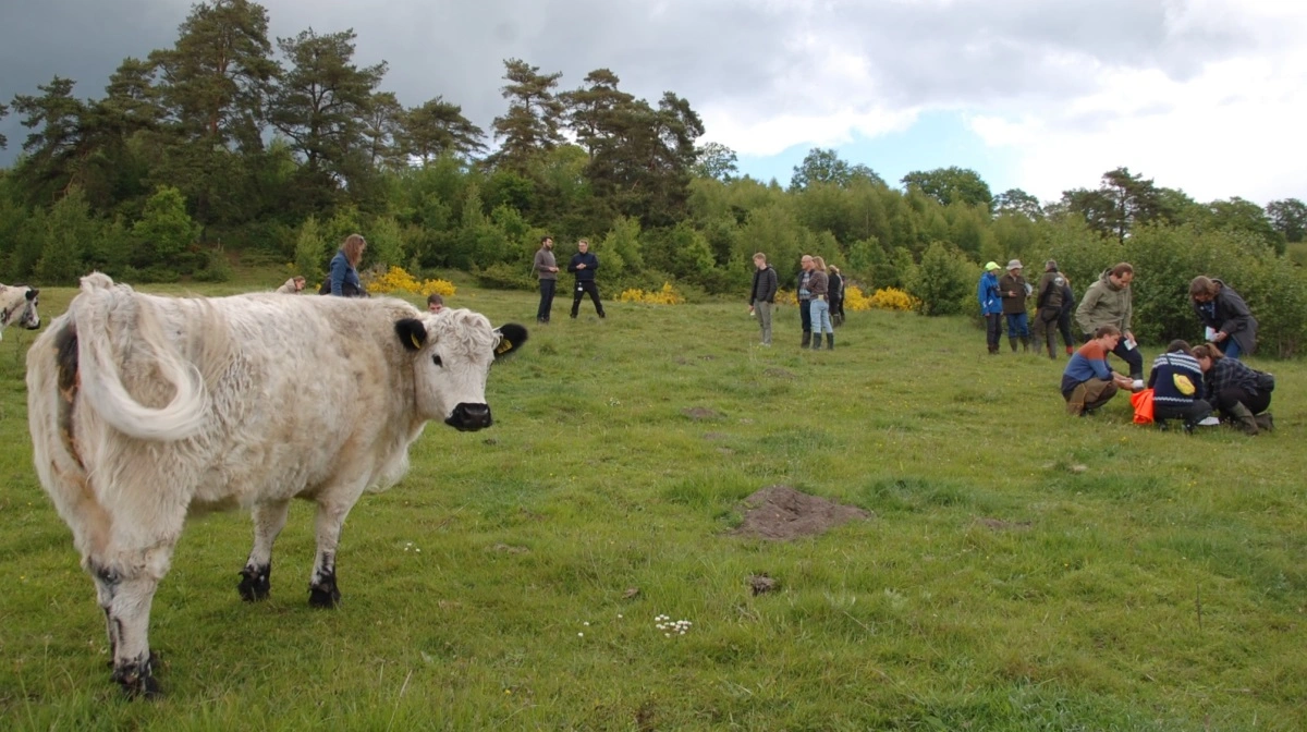 Naturforvaltere og konsulenter på fælles tur i Sønderup Ådal ved Rold i Himmerland for at afprøve appen, der skal bruges til at dokumentere den naturværdi, der skabes i et område, der afgræsses. Fotos: Lone Lærke Krogh