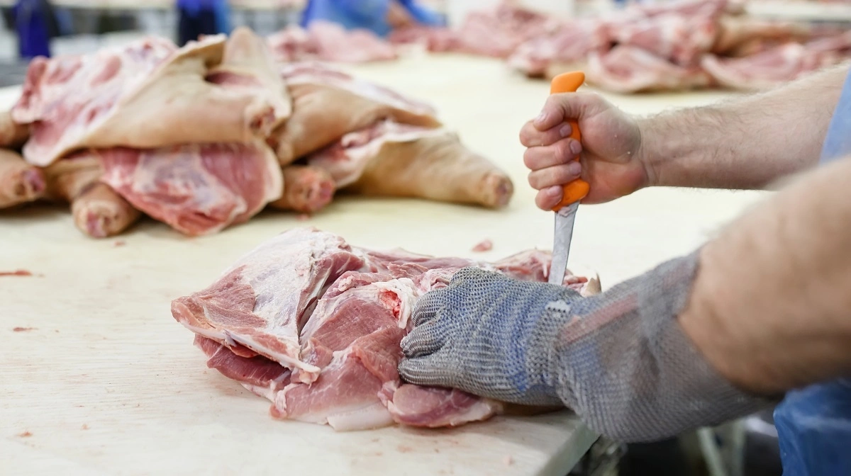 Tysklands næstestørste slagterivirksomhed Westfleisch bekræfter nu, at man er interesseret i at købe Vions tyske slagterier. Arkivfoto