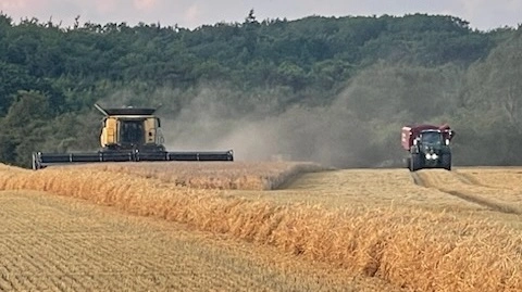 Det har regnet på Lolland, og derfor har John Brædder hele ugen slået til mellem bygerne og høstet i de få mulige timer i vårbyggen.