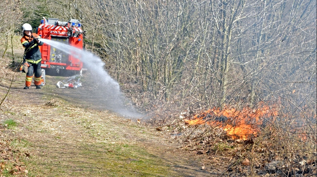 Hvert år opstår et par hundrede brande i danske skove, klitter, grøfter og på heder, og det koster dyrt på klima og natur. Arkivfoto