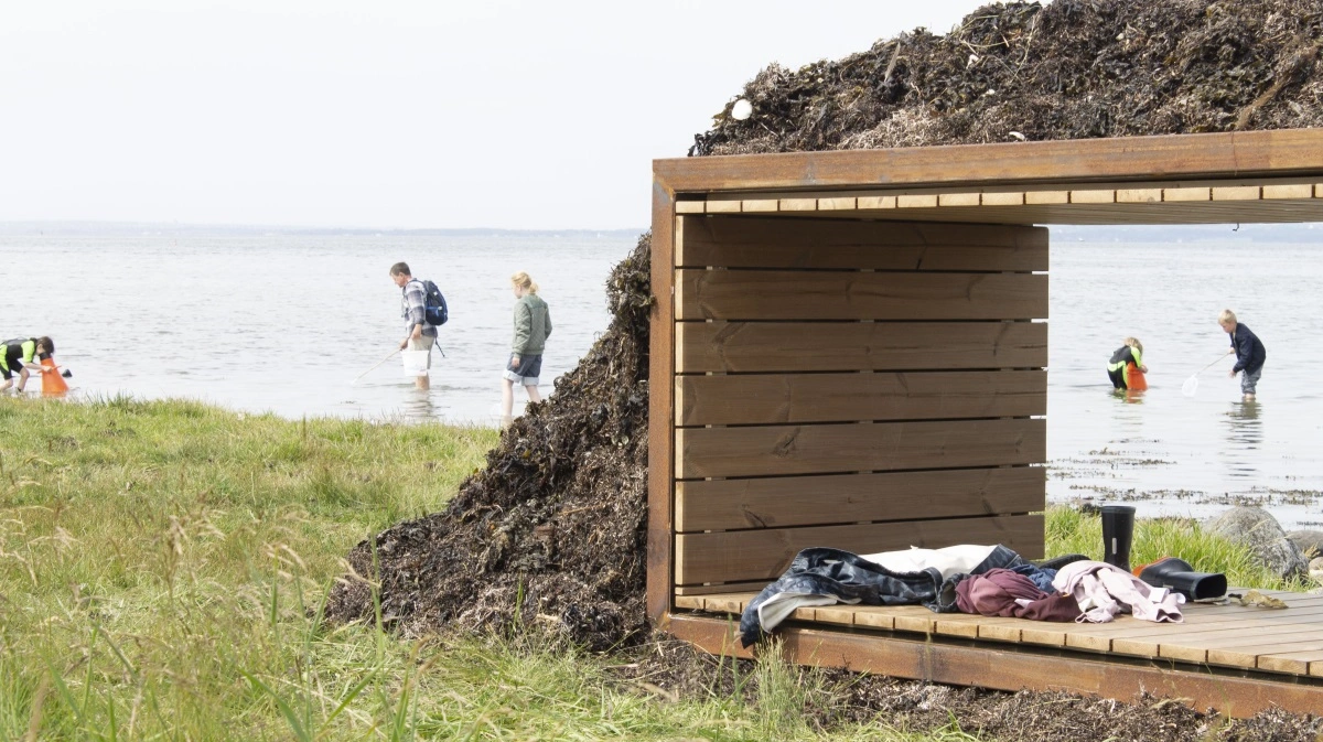 Det nye tang-shelter ligger ved strandkanten ned til Aarhus Bugt. Pressefoto