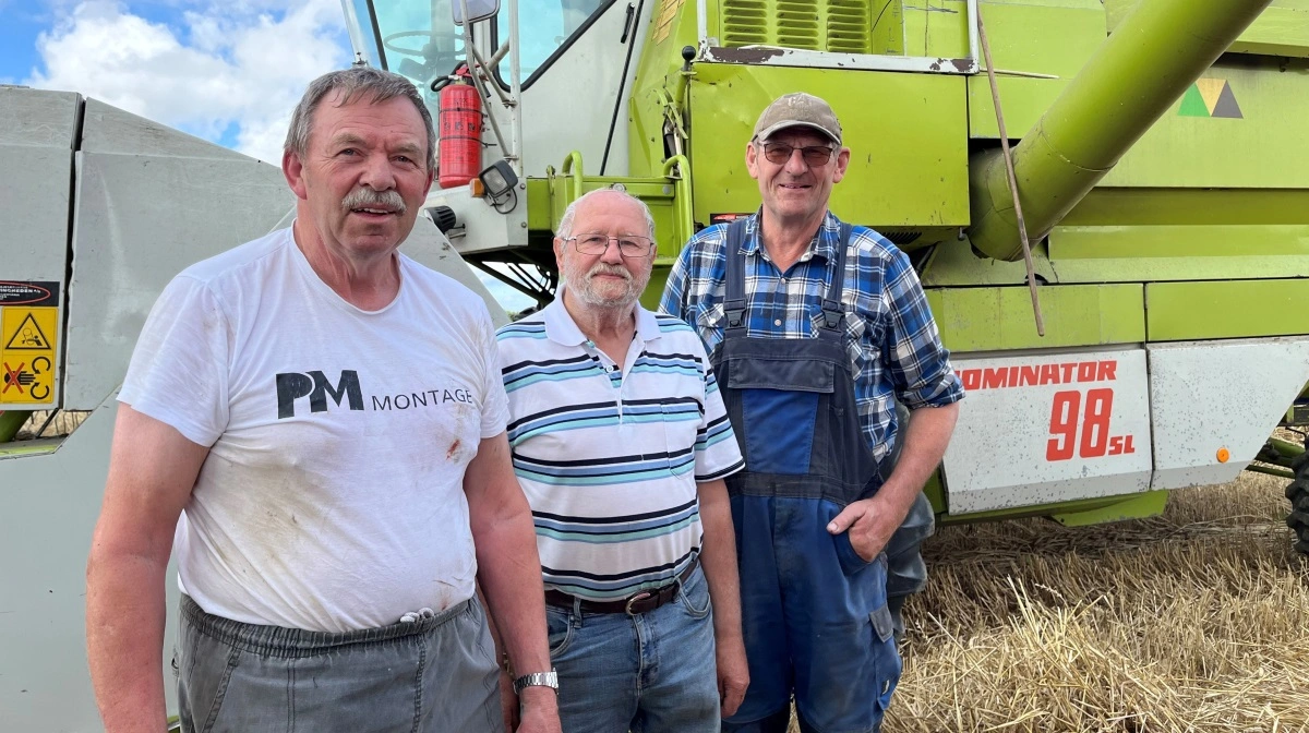 I høst får de to brødre, Peter Mortensen (tv) og Jens Mortensen (th), hvert år god hjælp af 80-årige Kaj Klysner (i midten). Foto: Jesper Hallgren