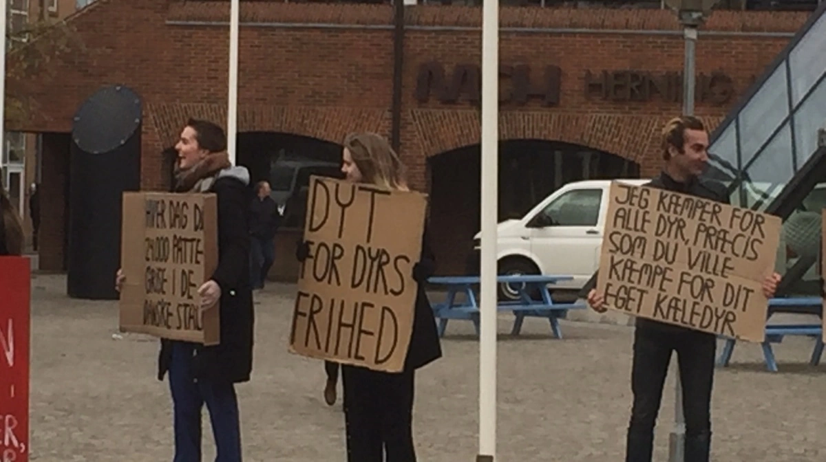 Demonstrationer af veganske aktivister er ikke noget nyt i Danmark. Billedet her stammer fra en demonstration i Herning i forbindelse med svinekongressen. Det skal understreges, at personerne på billedet ikke har noget med den aktuelle sag at gøre. Arkivfoto