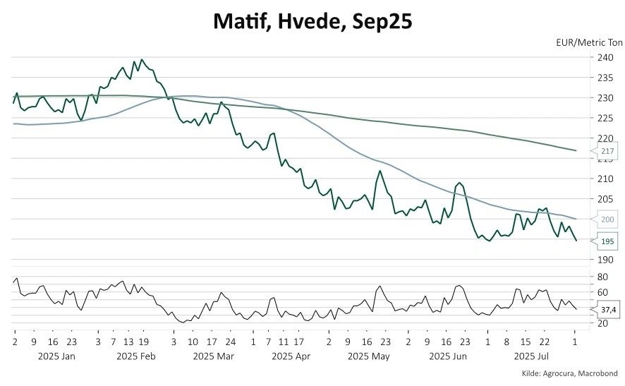 Figur 1: 
Grafen viser udviklingen i prisen på Matif-hvede (September 2025-kontrakten) målt i Euro pr. ton fra januar til juli 2025.