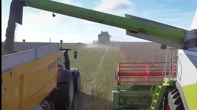 Vinterraps har overrasket med gennemsnitsudbytter på 5 t/ha for maskinstationen.