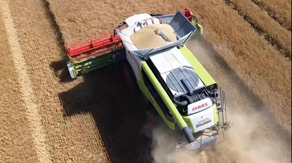 Maskinstationen har fem Claas Lexion mejetærskere.