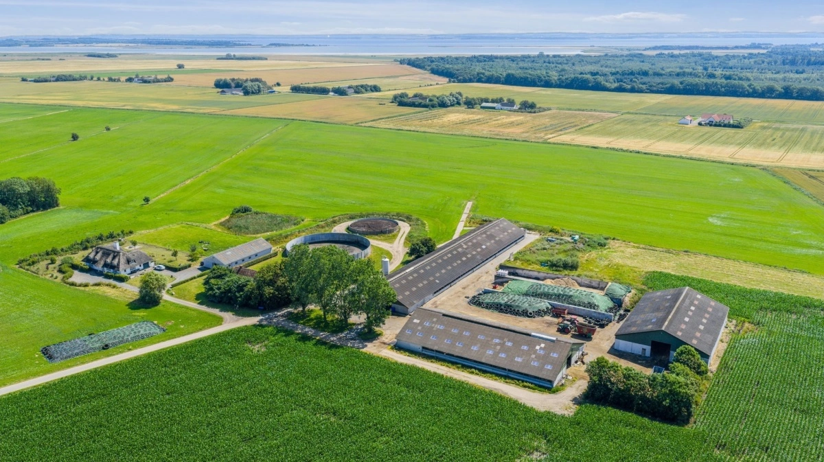 Langholmgaard i Brovst rummer både moderne mælkeproduktion og markarealer i stordrift. Ejendommen er nu sat til salg for 38,5 millioner kroner. Foto fra salgsopstillingen: Evald Borup ApS