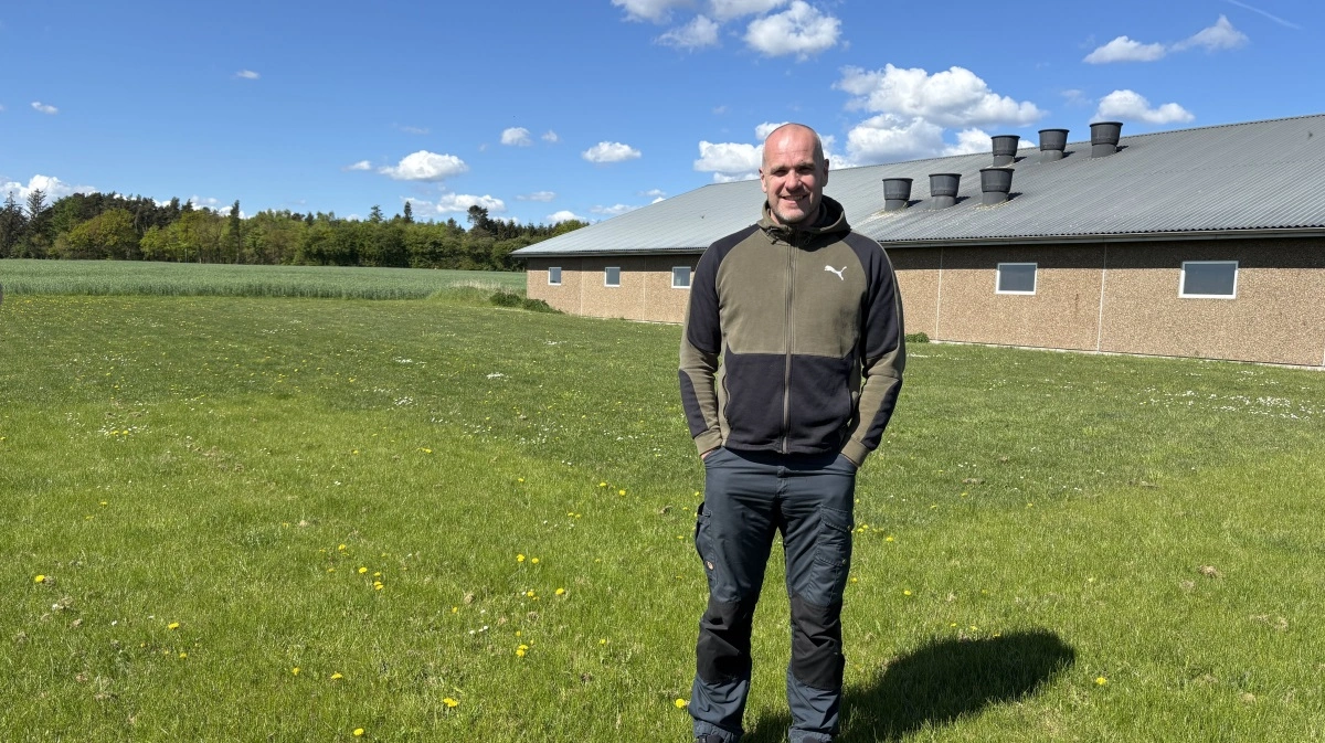 Lars Jakobsen blev opformering med DanBred-genetik i 2023, og han er meget tilfreds med sine resultater og samarbejdet med DanBred. Fotos: DanBred