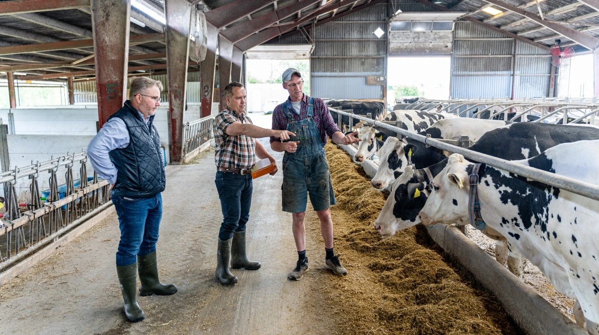 For Christian Lohmann Petersen handler god mælkeproduktion først og fremmest om dyrevelfærd. Med stabile forhold, fokus på trivsel og målrettede tiltag som Digestarom Dairy sikrer han, at køerne på Skovbakkegård har det godt og præsterer derefter.