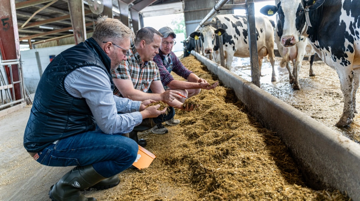 For at teste virkningen tog Christian Lohmann Petersen Digestarom Dairy ud af foderplanen i tre uger. Allerede efter 4-5 dage faldt drøvtygningen og steg igen ved genoptagelse. 
- Det viste tydeligt, at produktet gør en forskel, siger han.