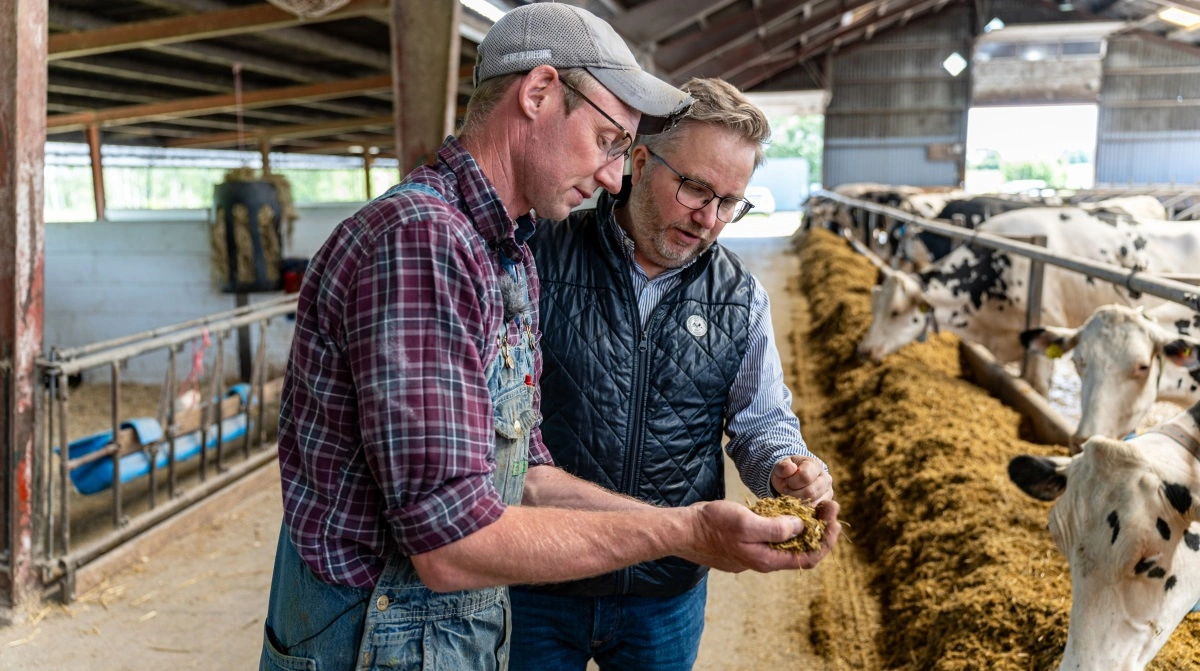 Efter indførelsen af Digestarom Dairy er drøvtygningen steget med over 30 minutter pr. ko, kraftfoderforbruget reduceret, reproduktionen forbedret og mælkeydelsen øget med cirka ét kilo pr. ko dagligt, fortæller Christian Lohmann Petersen.