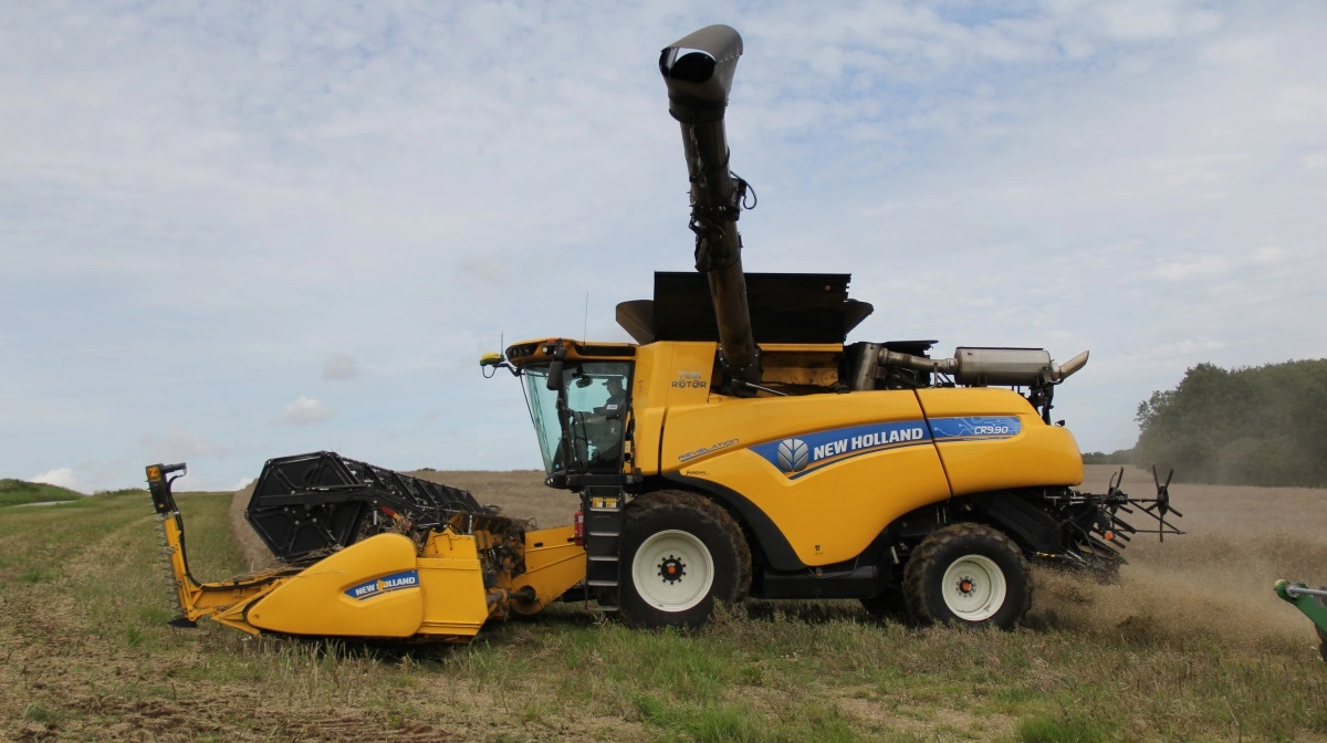 Den fire år gamle New Holland-mejetærsker på 41 fod tog mandag en god bid af rapsen på Haulund & Bakkegaard.