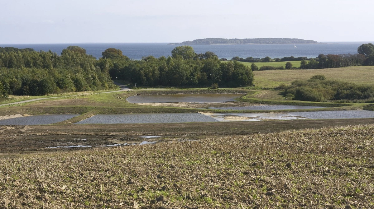 - Den jordudtagning og den ekstensivering af dyrkningsfladen samt al den teoretiske kvælstofreduktion, der blev sat i værk i miljøets og klimaets hellige navn, bør trækkes tilbage med øjeblikkelig virkning, mener læserbrevskribenten. Arkivfoto