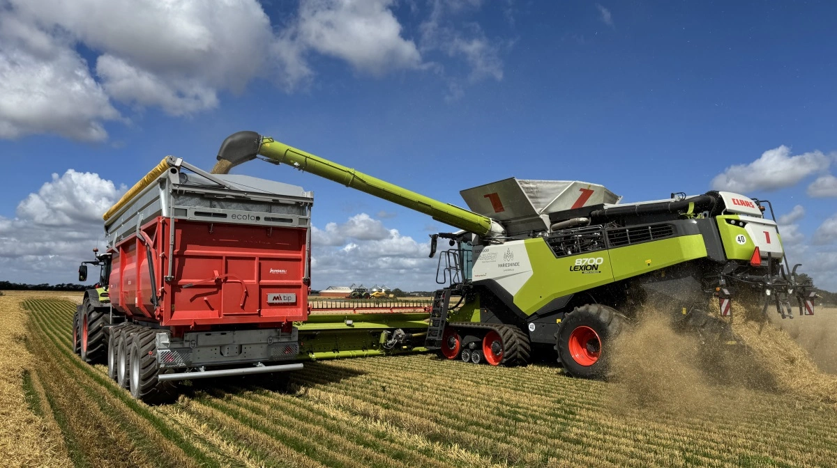 Vårbyggen lander på et gennemsnit mellem 8 og 9 ton pr. hektar, vurderer Kristian Boel Østergaard, som har budgetteret med 6,5 ton. Fotos: Kasper Stougård 