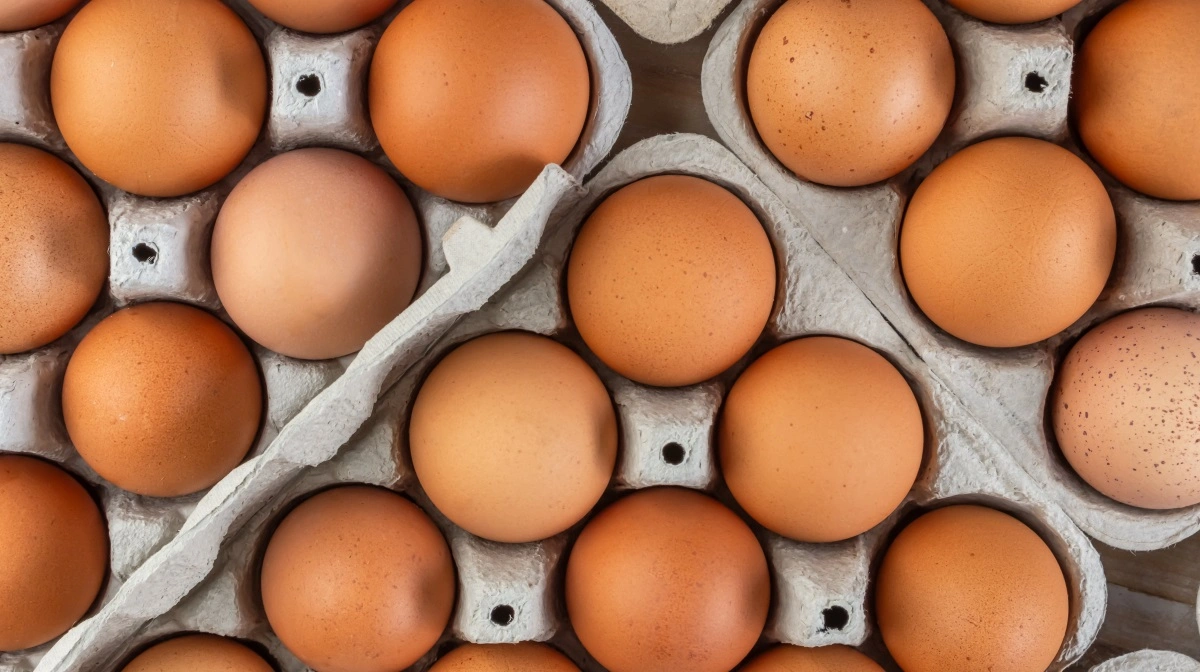 Dava Foods og Lihme Protein Solutions vil udvinde bakteriedræbende enzym fra æg med mange applikationsmuligheder. Foto: Colourbox