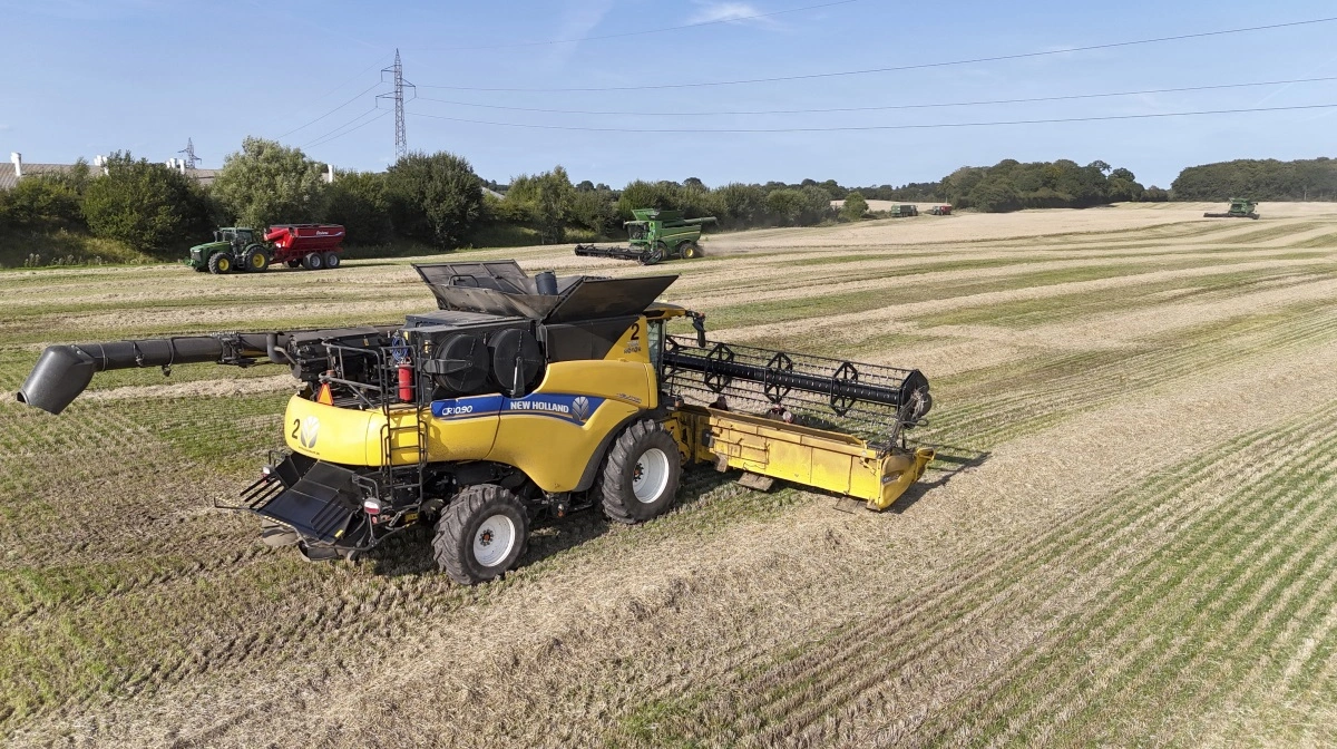 Med næsten 300 millimeter regn siden 1. juli valgte Hvidkilde Gods midt i frøhøsten at supplere de to John Deere mejetærskere med en lejet New Holland, ligeledes med 35 fods skærebord. Høsten er mandag her i gang på et forpagtet bygareal med rajgræs-udlæg hos Kokkenborg Svineavl (skimtes til venstre) ved Kirkeby. Fotos: Erik Hansen