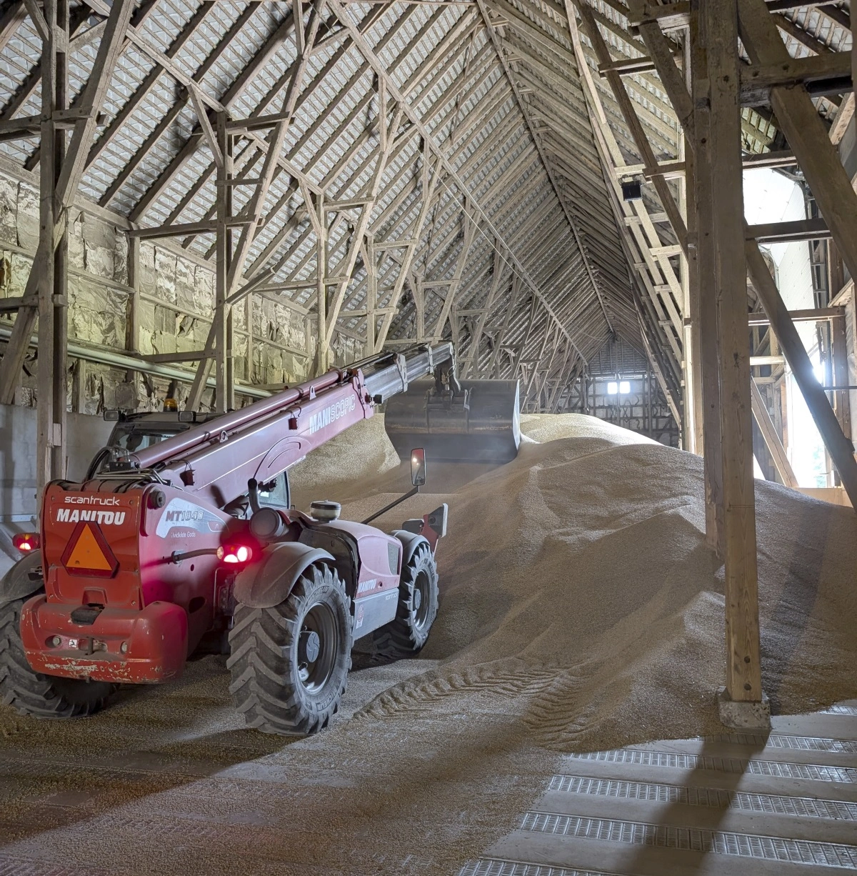 De 2.500 ton byg til Fuglsang-malteriet oplagres i den imponerende 90 meter lange og 15 meter høje kornlade. I 2018 blev lagt nyt gulv med beluftningskanaler.