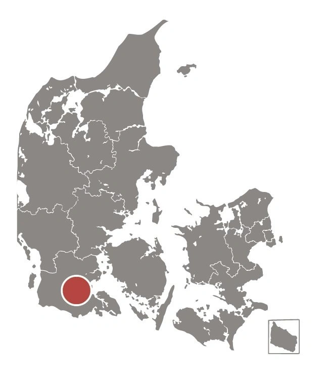 Der høstes hos Ole Møller Pedersen ved Tråsbøl sydøst for Aabenraa.