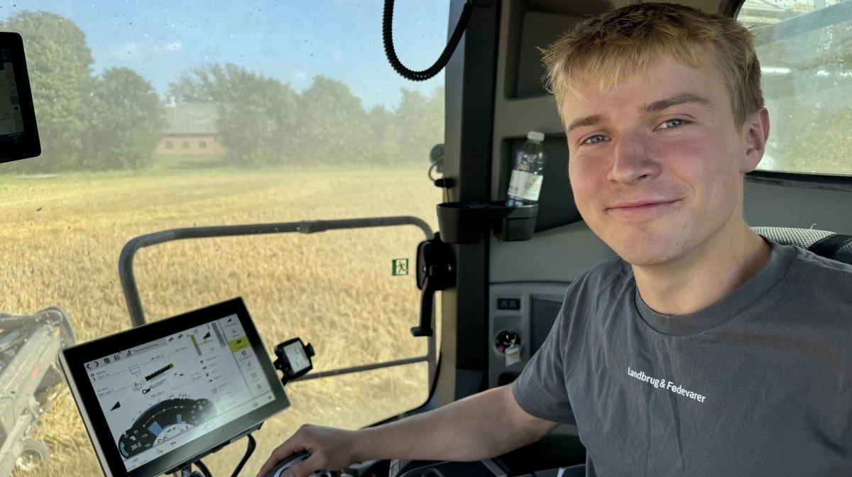 Laurids Hansen (19) lægger ikke skjul på, at han bestrider et af sine drømmejobs, mens han styrer den spritnye Claas Lexion 8800 TT gennem Søren Michaelsens havremark. Fotos: Anne Wolfenberg