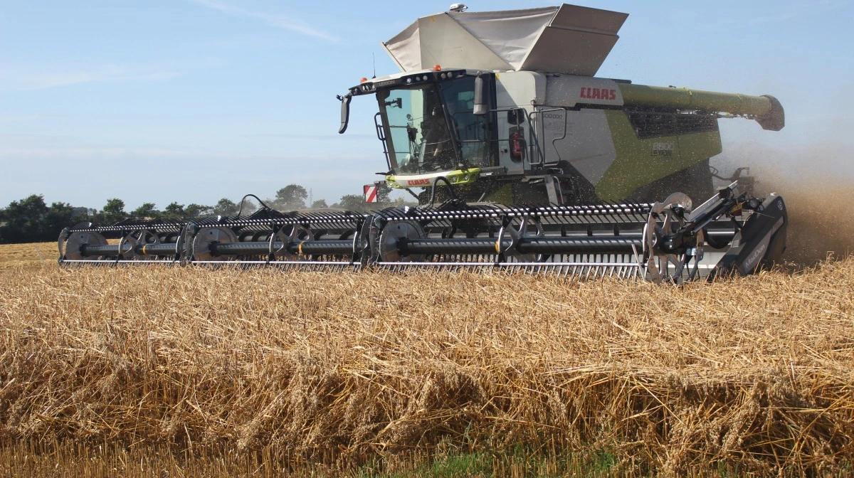 45 fod på arbejde. Havren er knastør, og der står en støvsky omkring mejetærskeren - en helt ny Claas Lexion 8800 TT. Foto: Anne Wolfenberg