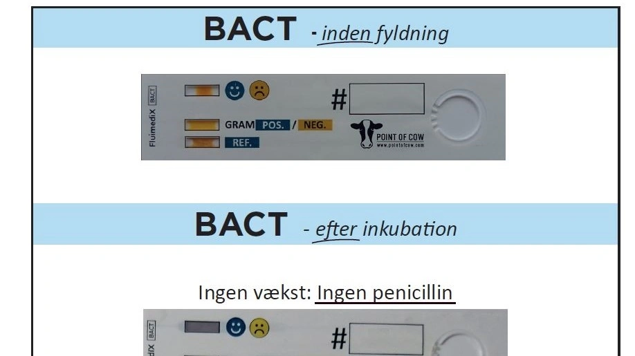 Hurtigtest for mastitis. Kilde: Fluimedix, Point of Cow.