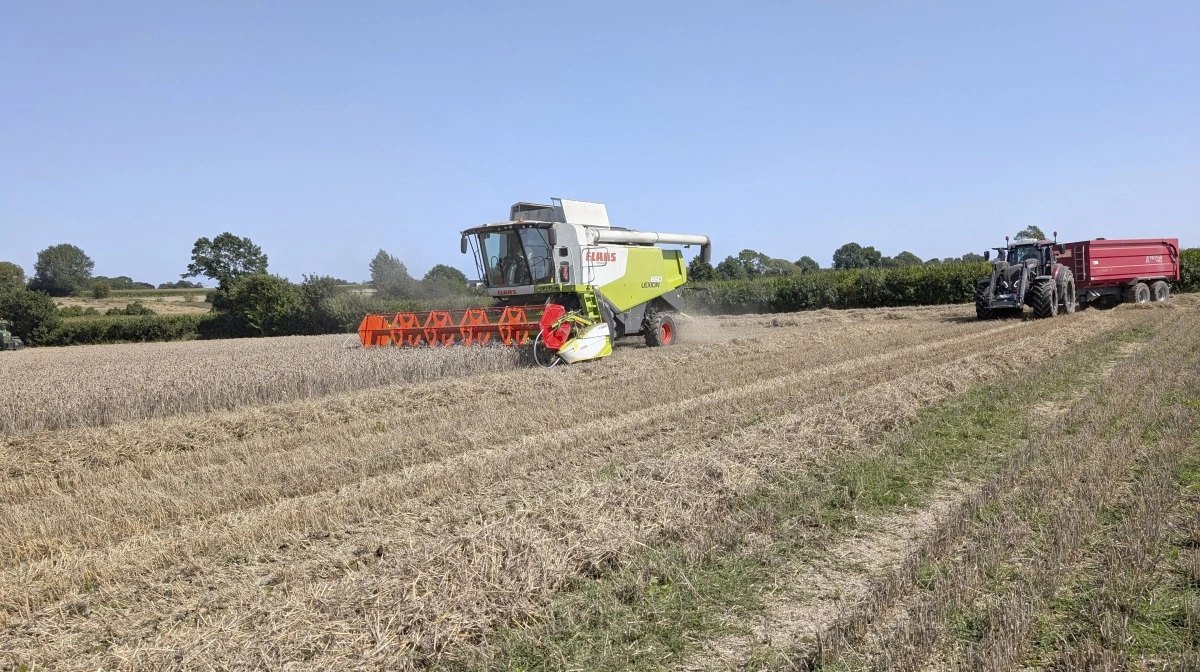 I sidste uge anskaffede svineproducent Mikkel Grubbe sig denne 22 fods Claas Lexion 650 fra 2011, og en uge senere er alt korn og raps bjærget på ejendommen ved Ørbæk og på nabogården, som sønnen overtog 1. juli. Fotos: Erik Hansen