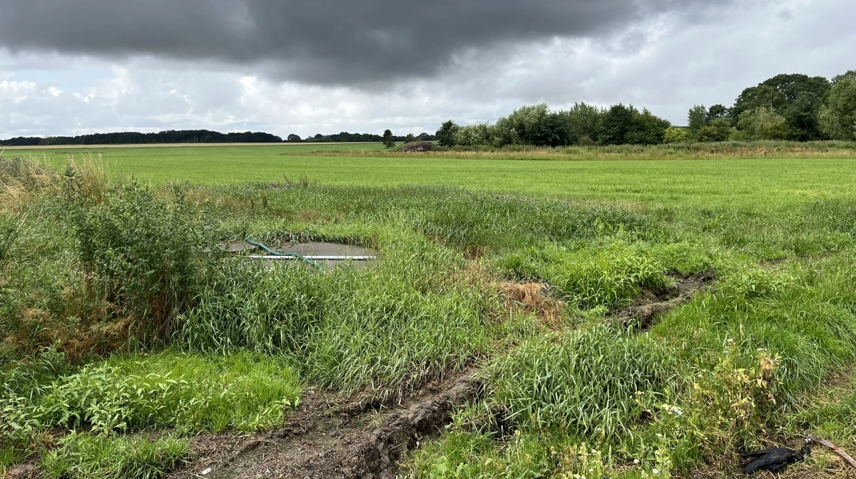 Hvis alt går vel, er der et vådområde på vej på dette areal. Stengaard byder således ind med i første omgang 12 hektar fortrinsvis lavbundsjord, der kan udtages i forbindelse med aftalen om Den Grønne Trepart.