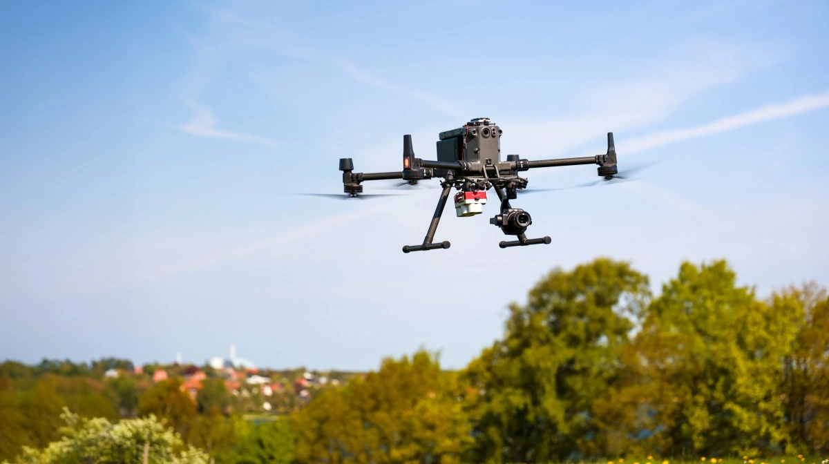 Det er let at se ukrudt i stubmarken ved brug af drone. Foto: Velas