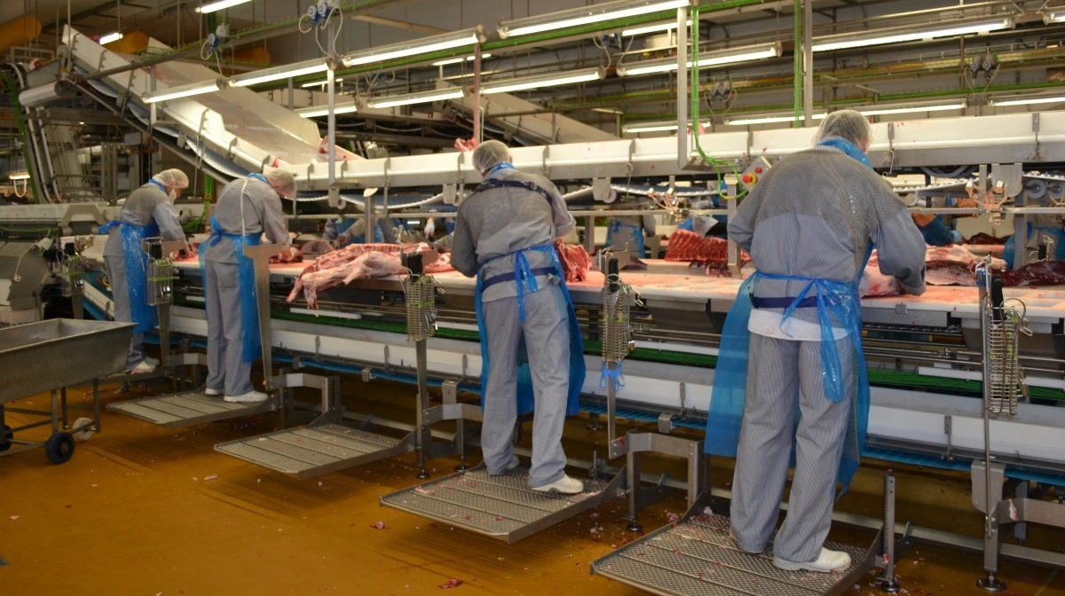 Ét år efter nedlukningen af slagteriet i Ringsted har 844 af de 965 fyrede slagteriarbejdere fundet nyt arbejde. Arkivfoto