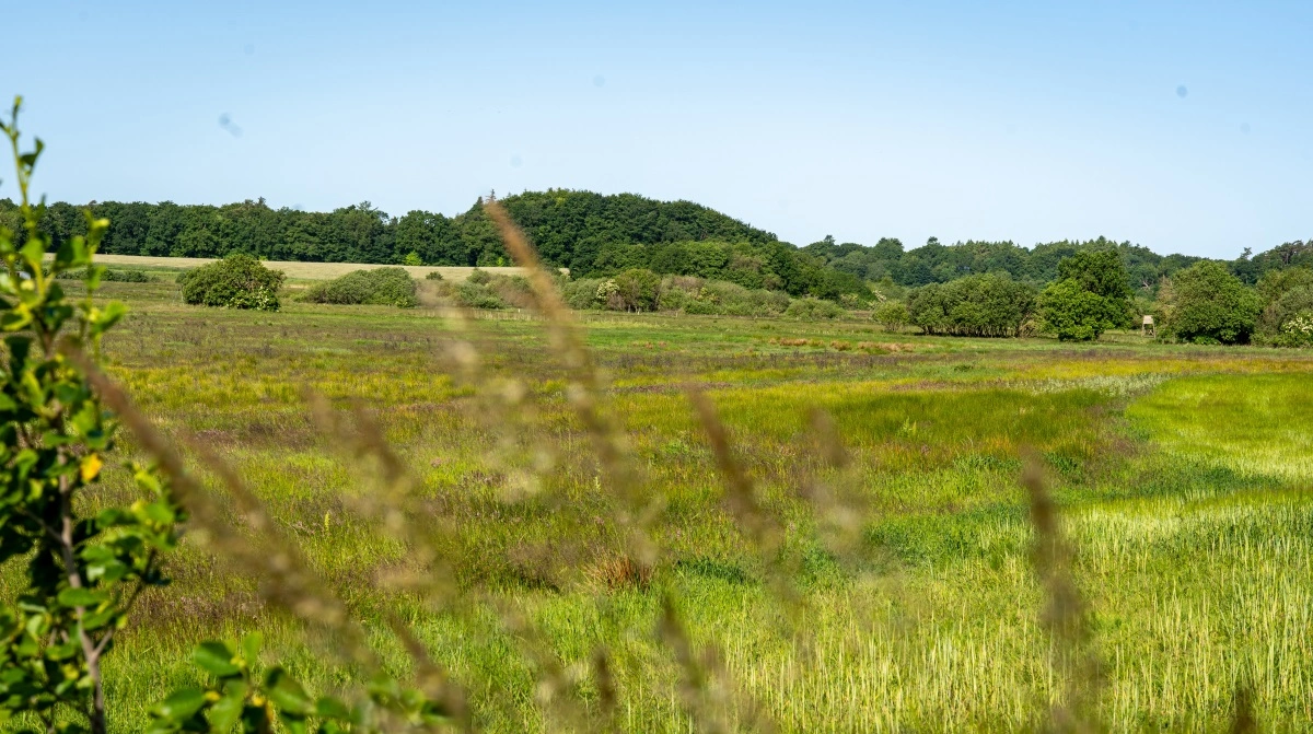 Den første lokale trepart er nået til enighed om, hvordan man kan omlægge landbrugsarealer til mere natur og mindske kvælstof- og CO2-udledningen. Arkivfoto
