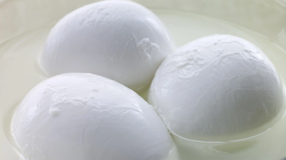 På den globale mejeribørs GDT faldt prisindekset for mozzarella med 2,7 procent, ligesom der var fald i indekset for blandt andet skummetmælkspulver, smør og cheddar. Kun sødmælk og mælkefedt steg en anelse. Foto: Colourbox