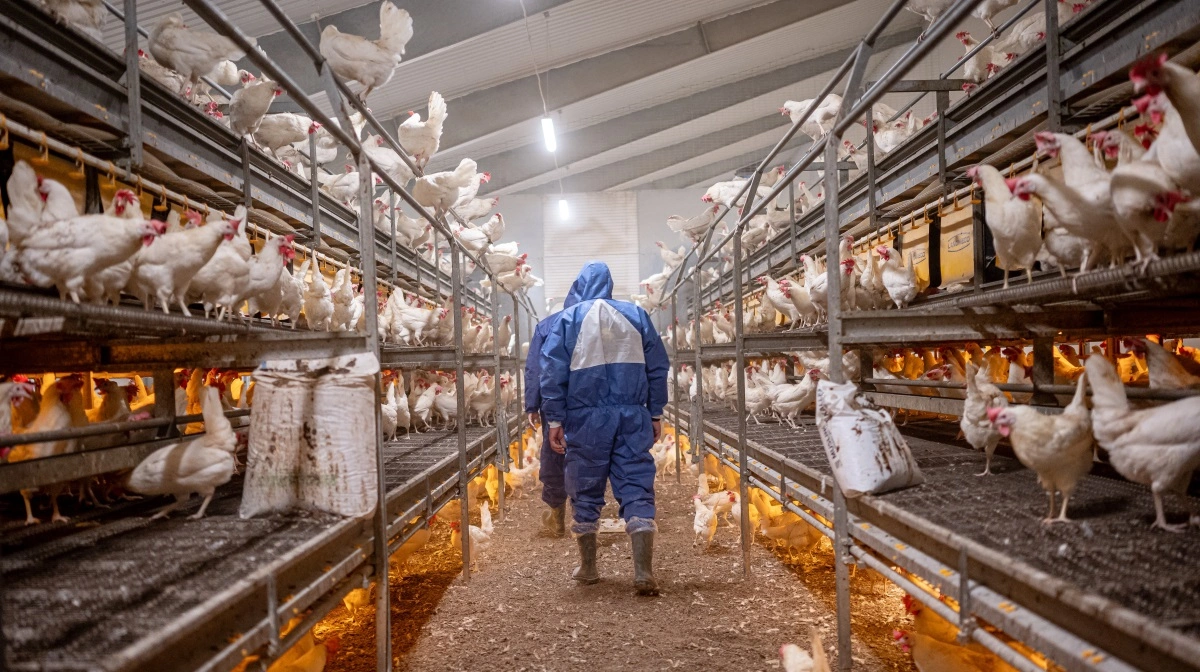 Landmeco, der blandt andet laver anlæg i etagesystem, oplever i øjeblikket ikke, at efterspørgslen er nået dem endnu. Imidlertid er de parat til øget ordreindgang. Arkivfoto