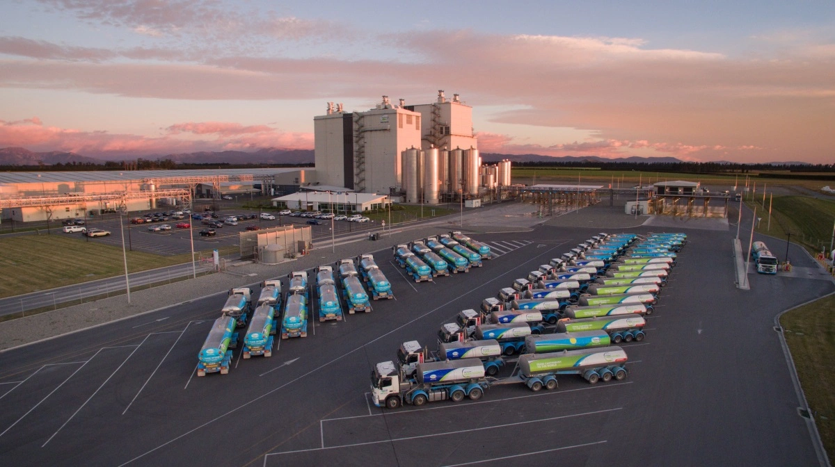 Den newzealandske mejerikoncern Fonterra hæver mælkeprognosen grundet stabile globale mejeripriser. Foto: Fonterra