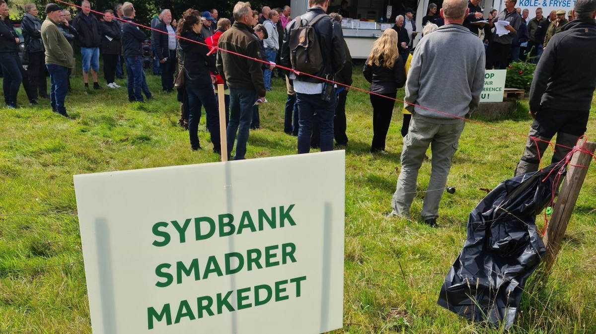 En gruppe juletræsproducenter demonstrerede i 2021 i Aabenraa (billedet) i protest mod Sydbanks ejerskab af Green Team Group. Arkivfoto: Henning K. Andersen