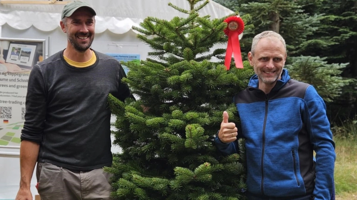 Vinder af Danmarks smukkeste juletræ blev Hørslev julemarked Copmann fra Harlev vest for Aarhus. Fotos Henriette Lemvig