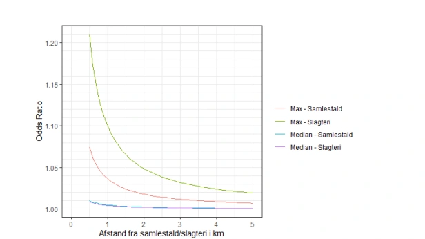 Beregnet øget risiko (Odds Ratio) for en besætning i en given afstand til slagteri eller samlestald med maksimal eller typisk størrelse. Kilde: Notat nr. 2509 fra L&F Gris