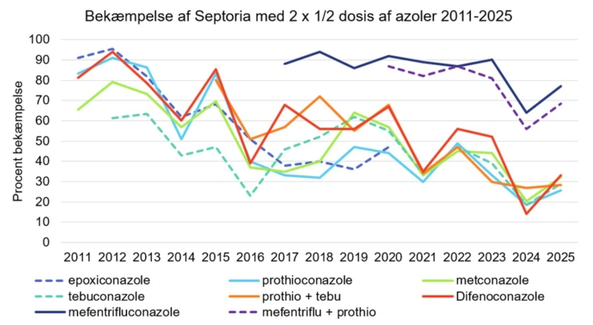 Bekæmpelse af septoria med forskellige triazoler. To årlige forsøg. Kilde: Aarhus Universitet