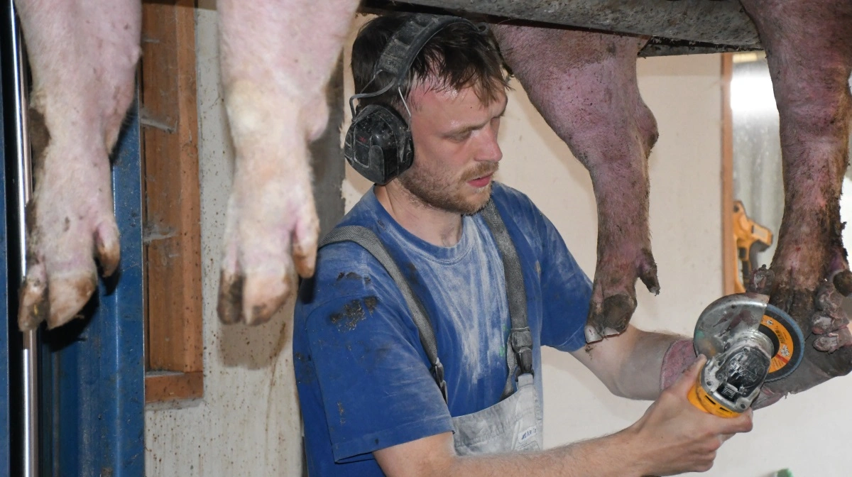 Mads Christiansen er en af de medarbejdere, der har ansvaret for, at der bliver foretaget korrekt »manicure« på søerne i besætningen hos Dynagro. Fotos: Camilla Bønløkke