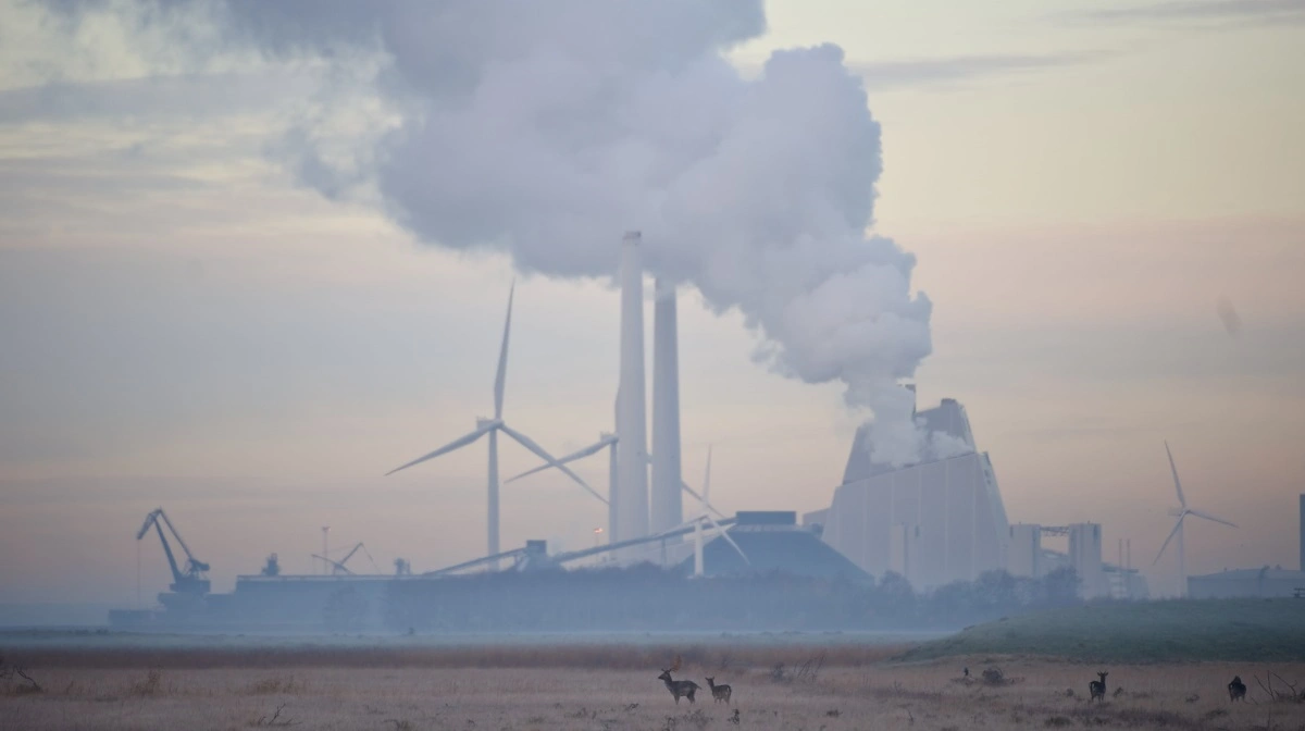 Ørsted kæmper med stigende finansieringsomkostninger og problemer i havvindprojekter. Foto: Colourbox