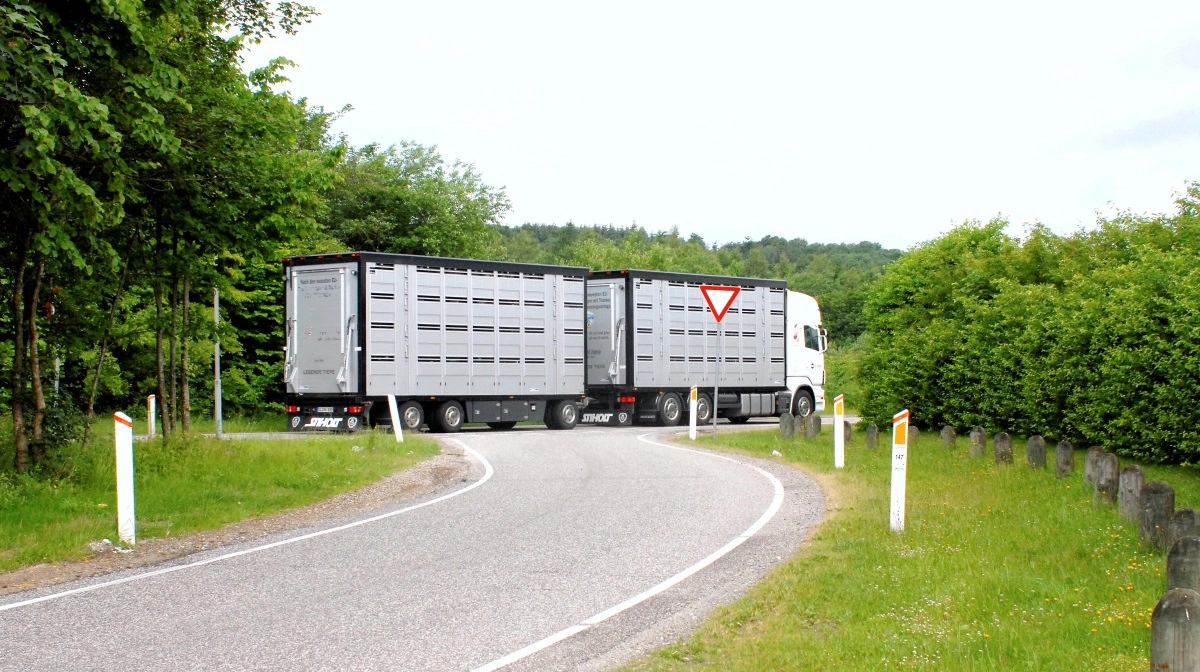 - Jeg stiller spørgsmålstegn ved effekten af disse én-times pauser. Så vidt jeg ved, er der ikke dokumentation for, at de gavner dyrene, lyder det fra Mette S. Herskin overfor DCA. Arkivfoto