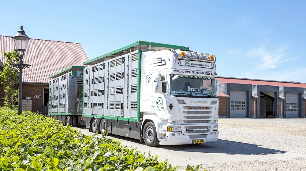 Smågrisetransportøren M&S Westergaard er kommet et skridt tættere på at kunne bygge sin nye administrationsbygning på 1.000 kvadratmeter. Arkivfoto