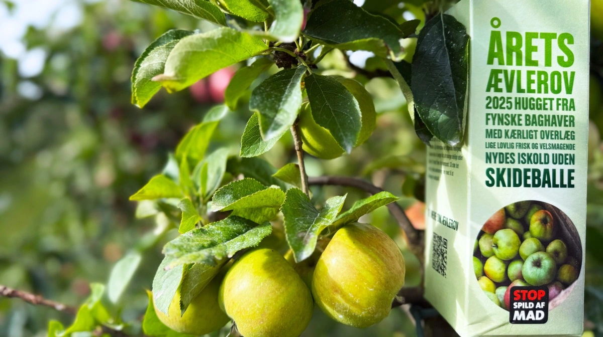 Årets Ævlerov: Fra fynske haver til frisk æblemost er en tradition, der både redder æbler fra at gå til spilde og samler folk om fællesskab og smag. Foto: Stop Spild Af Mad