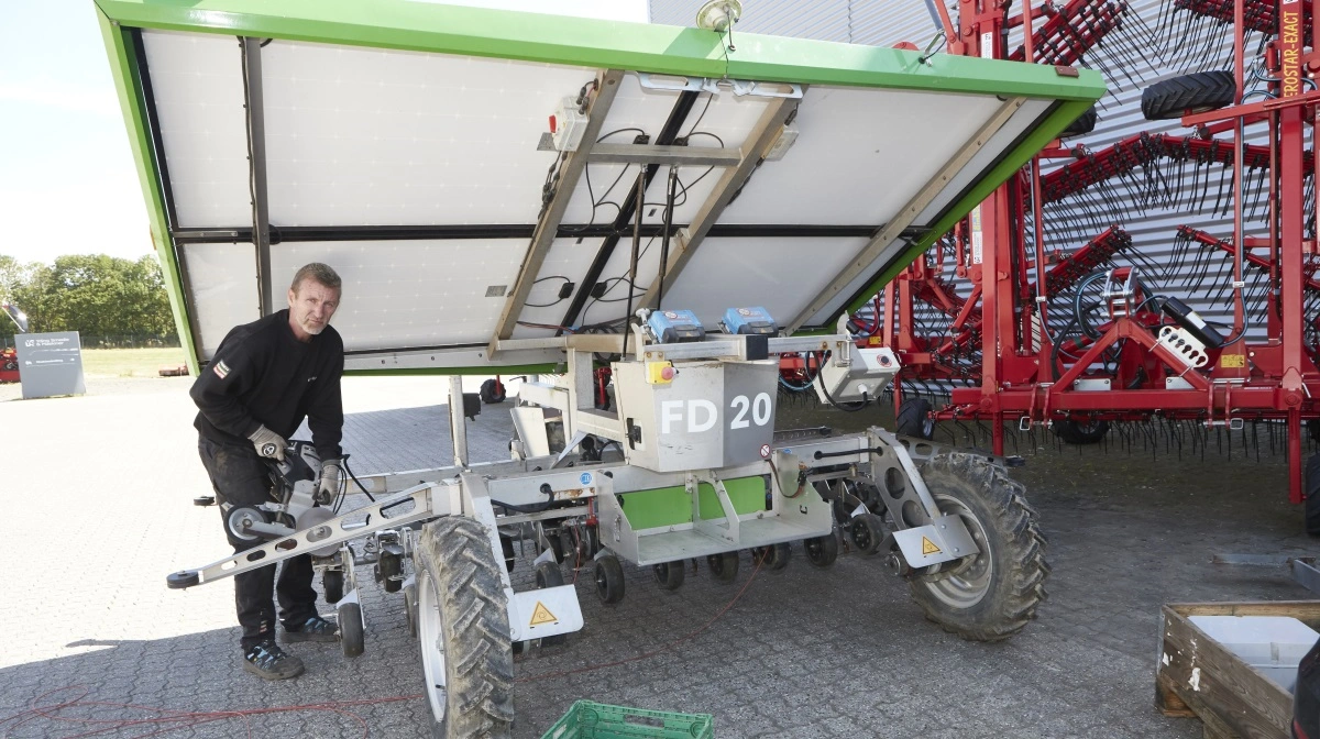 Yding Smedie & Maskiner har forhandlingen af Farmdroid markrobotter i hele Skandinavien. Produktspecialist Heinze Kjær er her ved at klargøre en af de autonome robotter til en besøg af en sydtysk landbrugsminister senere på ugen.