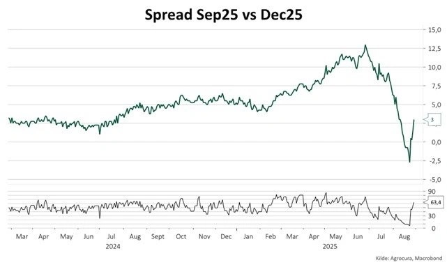 Grafen over Sep25- versus Dec25-spreadet viser et par euro i forskel i sommeren 2024. I juni 2025 toppede den på over 12 euro, og var kortvarigt negativ hen over sommeren. 