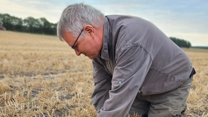 Knud Bay Smidt, Randers, er et af de medlemmer af FRDK, der er i gang med at teste et regenerativt værktøj. Det er undersåning af mikrokløver i bunden af hovedafgrøden for at mindske input af planteværn og gødning. 