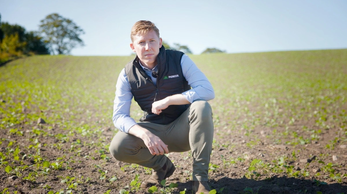 Tre års resultater fra forskellige lokaliteter viser tydeligt, at BlueN leverer en stabil effekt, lyder det fra Frederik Christensen, produktkonsulent hos Corteva Agriscience.