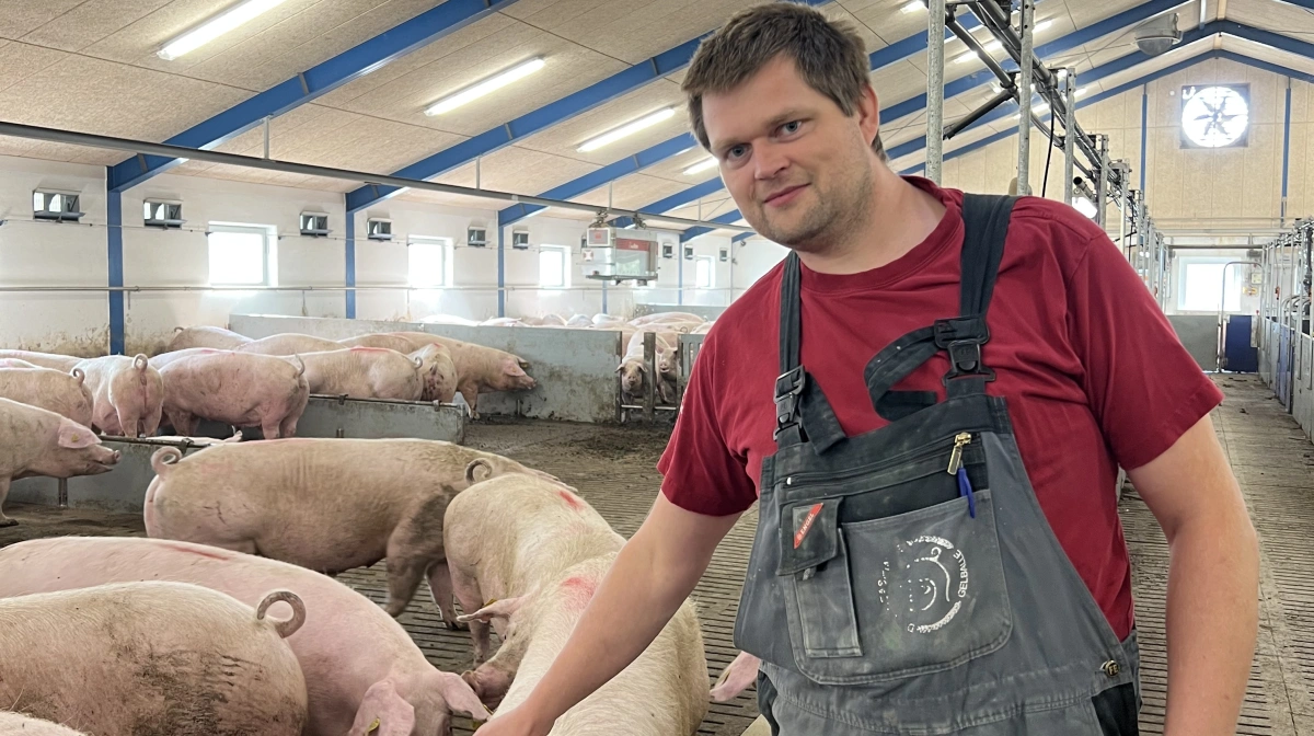 - Jeg kunne ikke se mig selv i den tidligere genetik – men jeg kendte Topigs Norsvins genetik fra Eskely, og derfor valgte vi at skifte, fortæller Daniel Monrad.