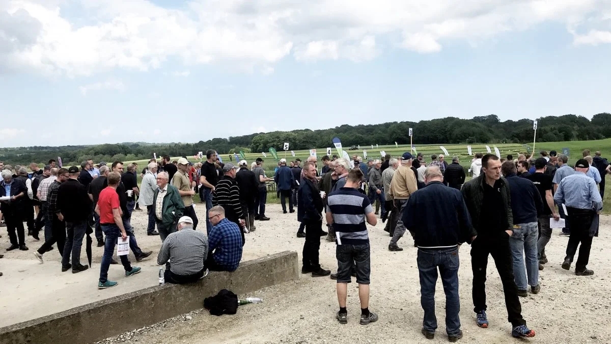 Solen stod højt på himlen, grillen kørte på højeste blus, og mere end 600 deltagere var mødt op for at tage på guidede ture i forsøgsmarkerne til LMO Plantetræf. 